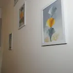 King-size Bed, Free Parking, Kitchenette, Wifi 아파트