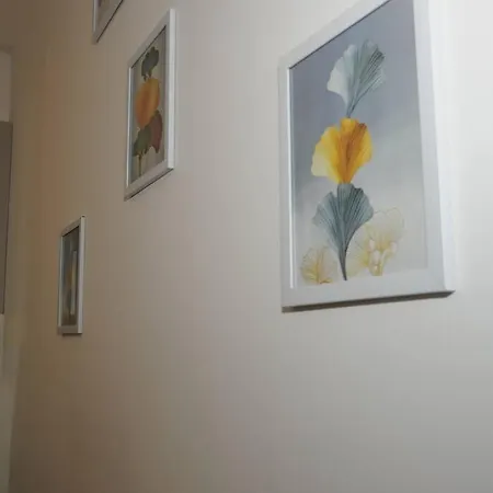 King-size Bed, Free Parking, Kitchenette, Wifi Апартаменты